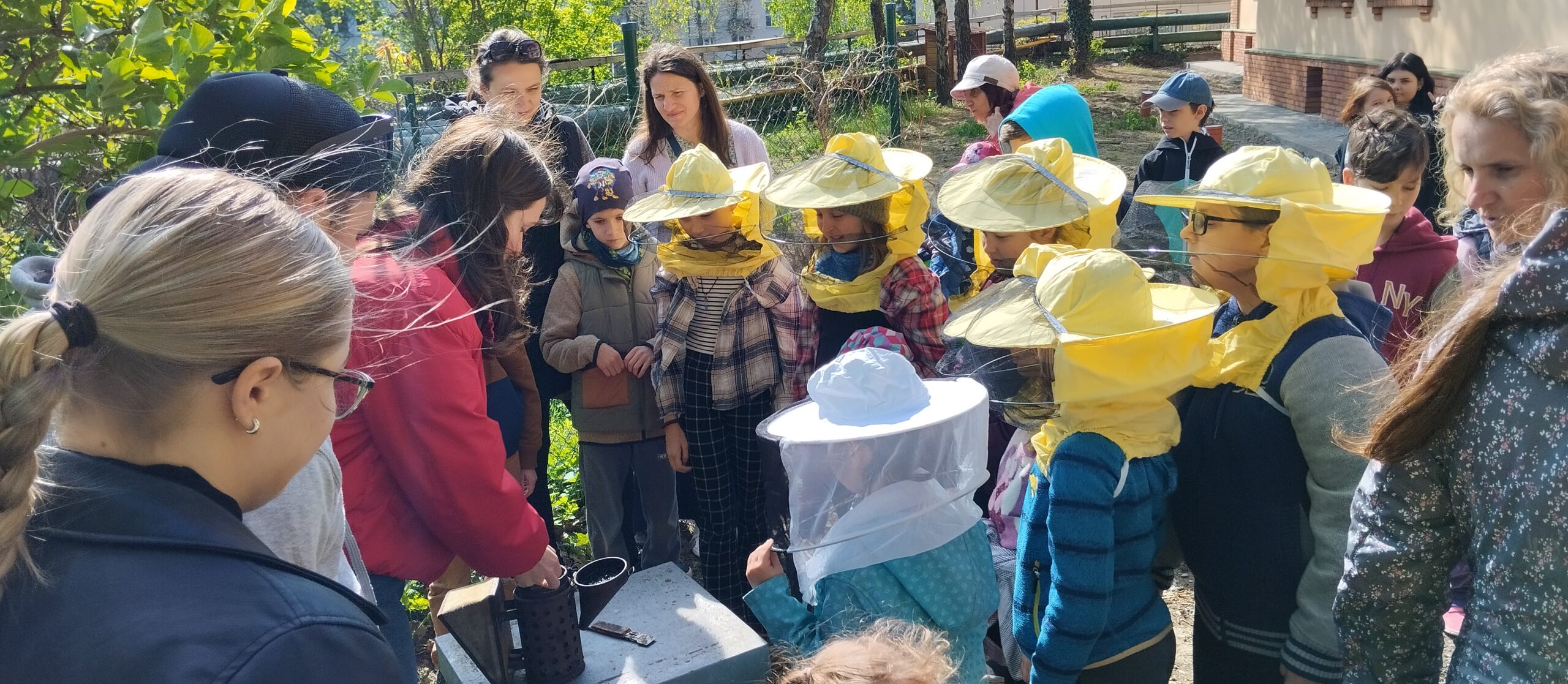 Eco-pedagogies